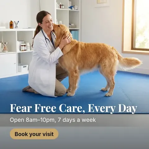 veterinary ad example generated by ClinAds
