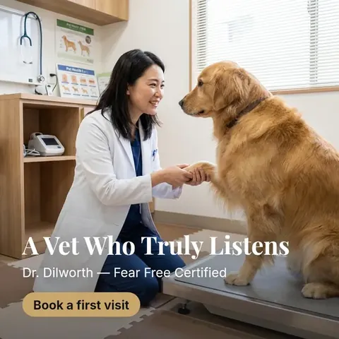 veterinary ad example generated by ClinAds